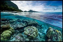 Over-under split view of Ofu Lagoon corals and Ofu mountains (AI-generated). National Park of American Samoa ( color)