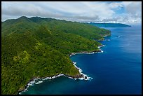 Aerial view of Tuitula north coast. National Park of American Samoa ( color)