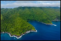 Aerial view of Tafeu Cove and Mt Alava, Tuitula. National Park of American Samoa ( color)