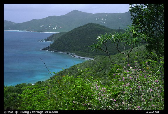 Hurricane Hole. Virgin Islands National Park (color)