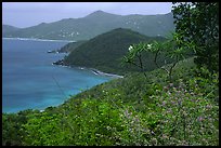 Hurricane Hole. Virgin Islands National Park, US Virgin Islands. (color)