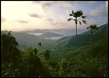 View over East end of island. Virgin Islands National Park ( color)