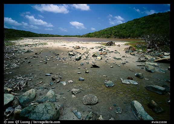 Salt Pond. Virgin Islands National Park, US Virgin Islands.