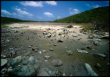 Salt Pond. Virgin Islands National Park, US Virgin Islands.