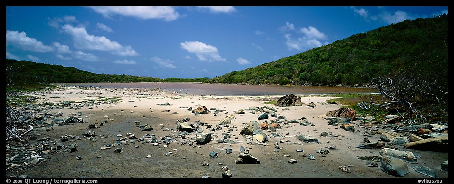 Pond with quicksand. Virgin Islands National Park (color)