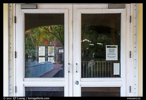 Palm trees, Visitor Center window reflexion. Virgin Islands National Park (color)