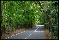 North Shore road. Virgin Islands National Park, US Virgin Islands.