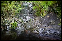 Freshwater pool, petrogyphs, and waterfall. Virgin Islands National Park ( color)