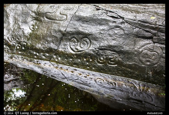 Reef Bay Trail petroglyphs. Virgin Islands National Park (color)