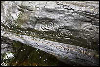 Reef Bay Trail petroglyphs. Virgin Islands National Park ( color)