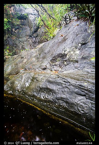 Taino petroglyphs. Virgin Islands National Park (color)