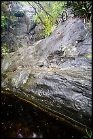 Taino petroglyphs. Virgin Islands National Park ( color)