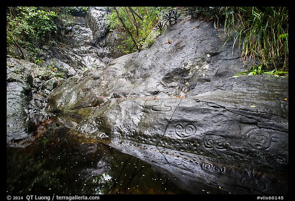 Reef Bay Trail petroglyphs and rock wall. Virgin Islands National Park (color)