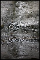 Petroglyph and reflections. Virgin Islands National Park ( color)