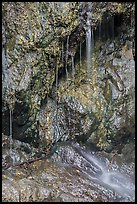 Ephemeral waterfall, Reef Bay. Virgin Islands National Park ( color)