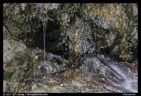 Water drips on rocks, Reef Bay. Virgin Islands National Park, US Virgin Islands.