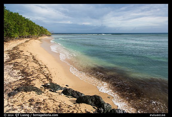 Beach and Genti Bay. Virgin Islands National Park (color)