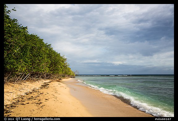 Reef Bay beach. Virgin Islands National Park (color)