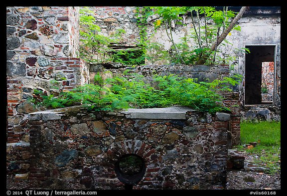 Reef Bay sugar factory walls. Virgin Islands National Park (color)