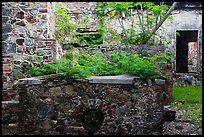 Reef Bay sugar factory walls. Virgin Islands National Park ( color)