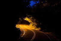 Centerline road at night. Virgin Islands National Park ( color)