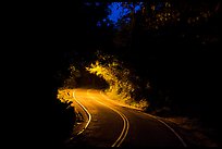 Centerline road at night. Virgin Islands National Park, US Virgin Islands.