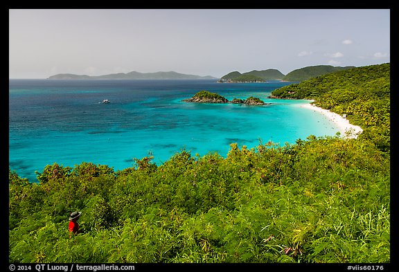 Visitor looking, Trunk Bay. Virgin Islands National Park, US Virgin Islands.