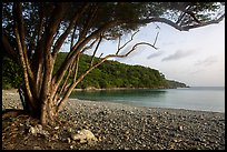 Great Lameshur Bay beach. Virgin Islands National Park ( color)