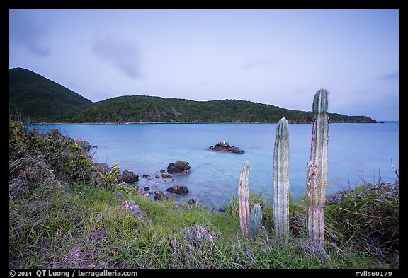 Cactus, Great Lameshur Bay from Yawzi Point. Virgin Islands National Park (color)