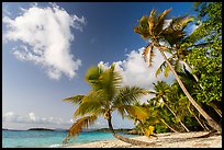 Salomon Beach. Virgin Islands National Park ( color)