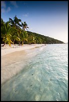 Tropical beach in the evening, Salomon Bay. Virgin Islands National Park ( color)