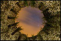 Looking up catherineberg Sugar Mill opening at night. Virgin Islands National Park ( color)