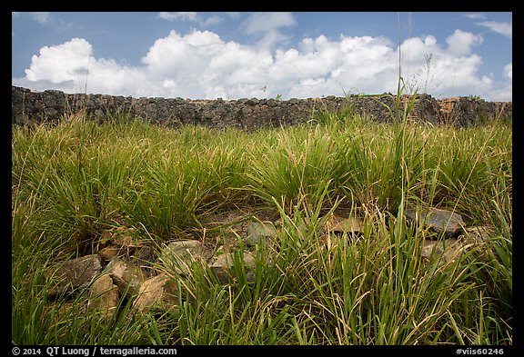 Shipleys Battery wall, Hassel Island. Virgin Islands National Park (color)