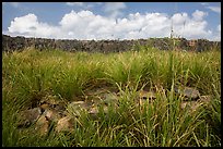 Shipleys Battery wall, Hassel Island. Virgin Islands National Park ( color)