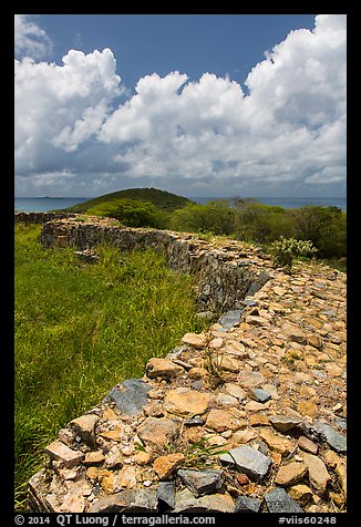 Shipleys Battery and island highest point, Hassel Island. Virgin Islands National Park (color)