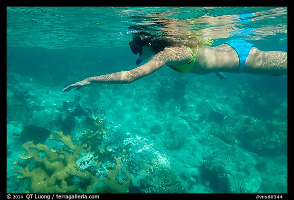 Woman snorkeling, Trunk Bay. Virgin Islands National Park (color)
