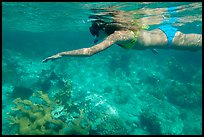 Woman snorkeling, Trunk Bay. Virgin Islands National Park ( color)