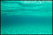 Underwater picture of sand and water. Virgin Islands National Park ( color)