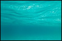 Underwater picture of water surface reflection. Virgin Islands National Park ( color)