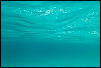 Underwater picture of water surface reflection. Virgin Islands National Park ( color)