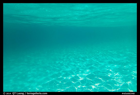 Sand and tropical water reflected under the surface. Virgin Islands National Park (color)