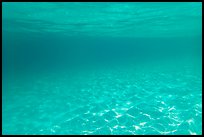Sand and tropical water reflected under the surface. Virgin Islands National Park ( color)