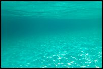 Sand and tropical water reflected under the surface. Virgin Islands National Park ( color)