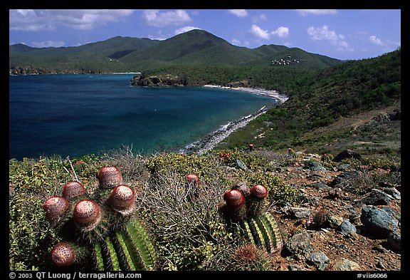 Cactus and bay, Ram Head. Virgin Islands National Park (color)