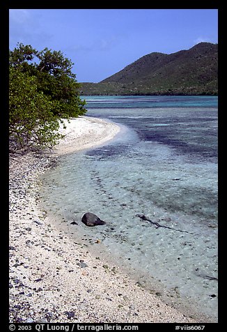 Sandy shoreline, Leinster Bay. Virgin Islands National Park, US Virgin Islands.