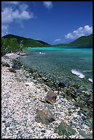 Shore and Turquoise waters, Leinster Bay. Virgin Islands National Park, US Virgin Islands. (color)