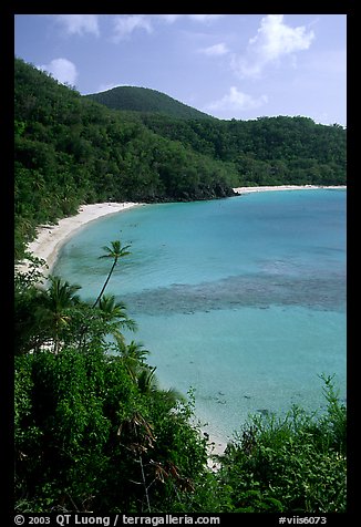 Tropical hills and beach, Hawksnest Bay. Virgin Islands National Park, US Virgin Islands.