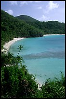 Tropical hills and beach, Hawksnest Bay. Virgin Islands National Park, US Virgin Islands.