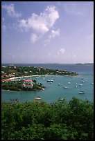 Cruz Bay harbor. Virgin Islands National Park, US Virgin Islands. (color)