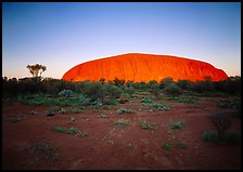 Sunrise, Ayers Rock. Uluru-Kata Tjuta National Park, Northern Territories, Australia ( color)